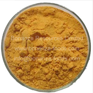 China Certified Kosher Freeze Dried Organic Goji Berries Powder wholesale