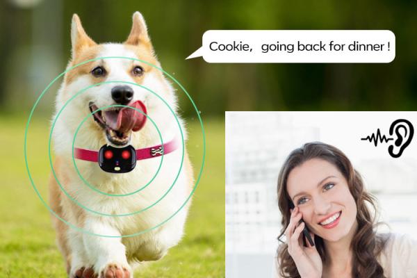 Quality 35g Black Smart Dog Collar Gps Tracker Low Battery Alarm for sale