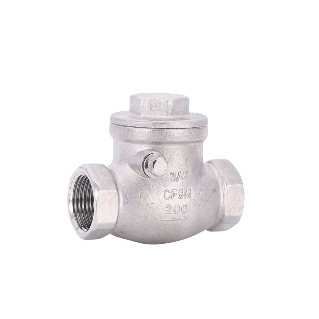 316L Pn16 16bar Swing Check Valve for Fuel Line