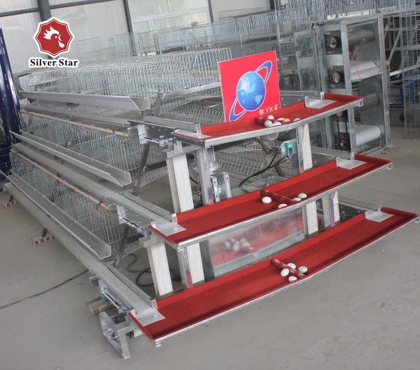 Quality 10000 Layer Farm Used Battery Chicken Cage 12 Weeks To 16 Weeks for sale