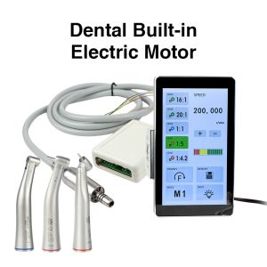 China Dental Built-in Electric Motor wholesale