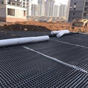 China HDPE Composite Drainage Network Dimple Drain Sheet with Geotextile Drainage Geonet wholesale