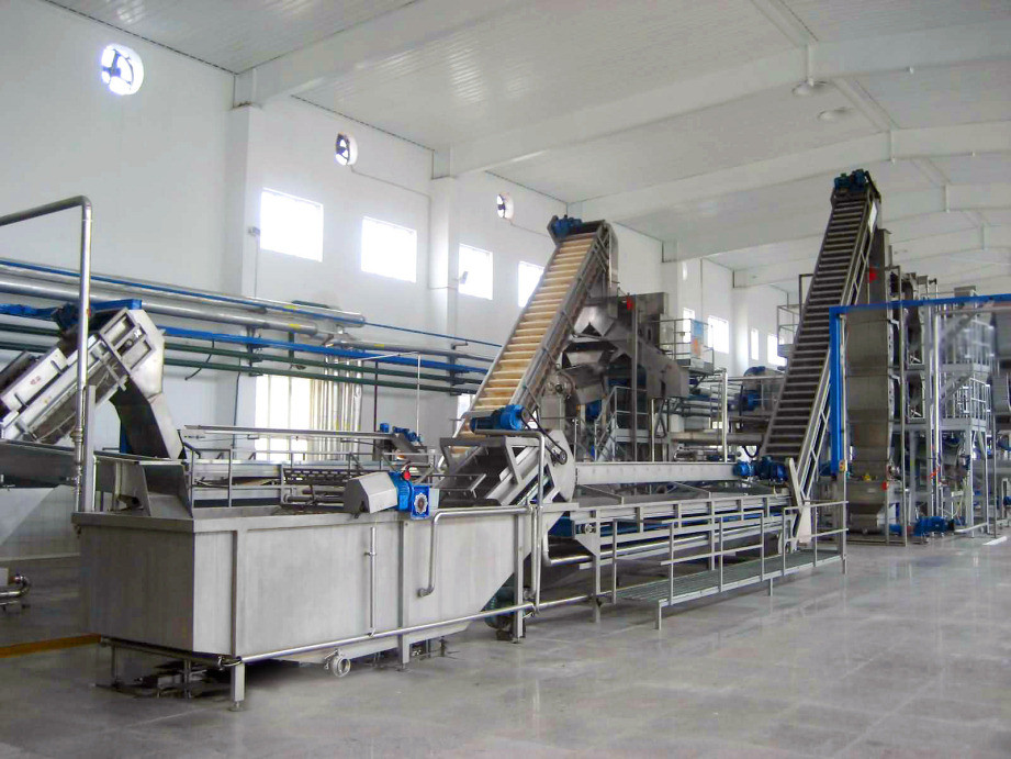 Complete Passion Fruit Processing Line Customized Passion Fruit/Pitaya/Guava Production Plant Machine With PLC For Fruit Industry SUS304/316
