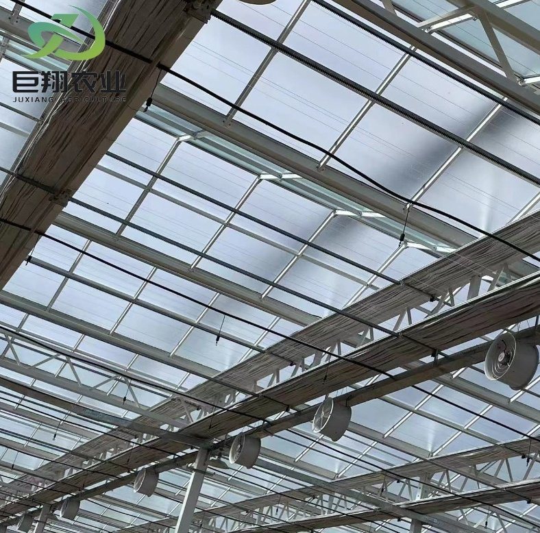 Reefer Container Greenhouse Leafy Vegetables