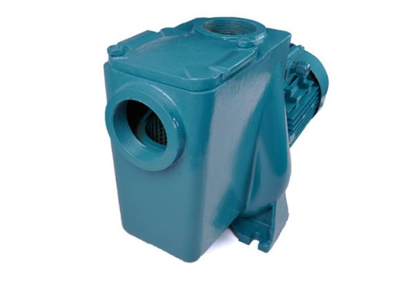 Quality 5.5hp Small Low Flow Circulation Pump For Pool Spa Water Circulation for sale