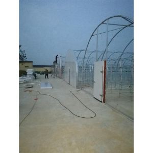 Customized Agricultural Equipment Plastic Film Cover Mushroom Green House