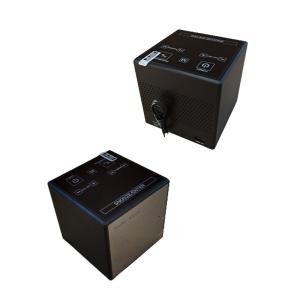 ROHS Certification HD1080P Spy Camera ClockWith Motion Detection