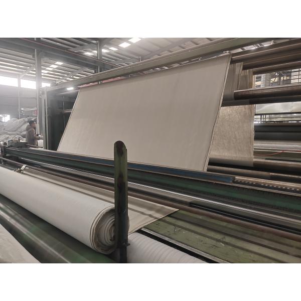 Drainage Engineering Solution 3D Geocomposite Drainage Mat with 5mm-12mm Geonet Core