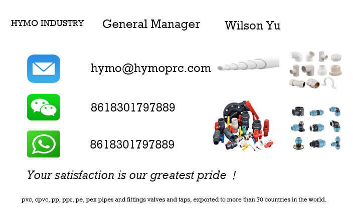 Manufacture Double Union Ball Valve 6 Inch PVC for ABS Handle and Moulding Service