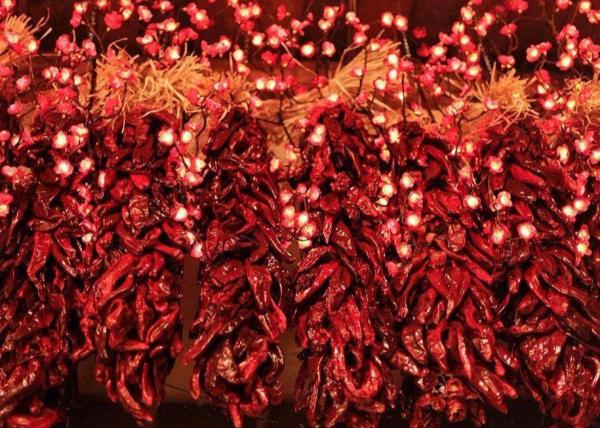 Quality Long Dry 8000SHU Dried Red Chilli Peppers 20Kg Pungent Flavor for sale