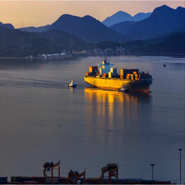 Quality China LCL FCL Sea Freight Forwarder To Aarhus International Shipping for sale