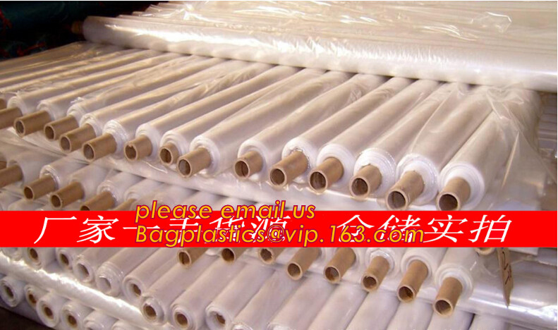 HOTICULTURAL MULCH FILM,AGRICULTURAL PE FILM,MARKET GARDENERS CLOCHE FILM,PE FILM FOR CORN,PLASTIC FILM COVER,TOMATO COV