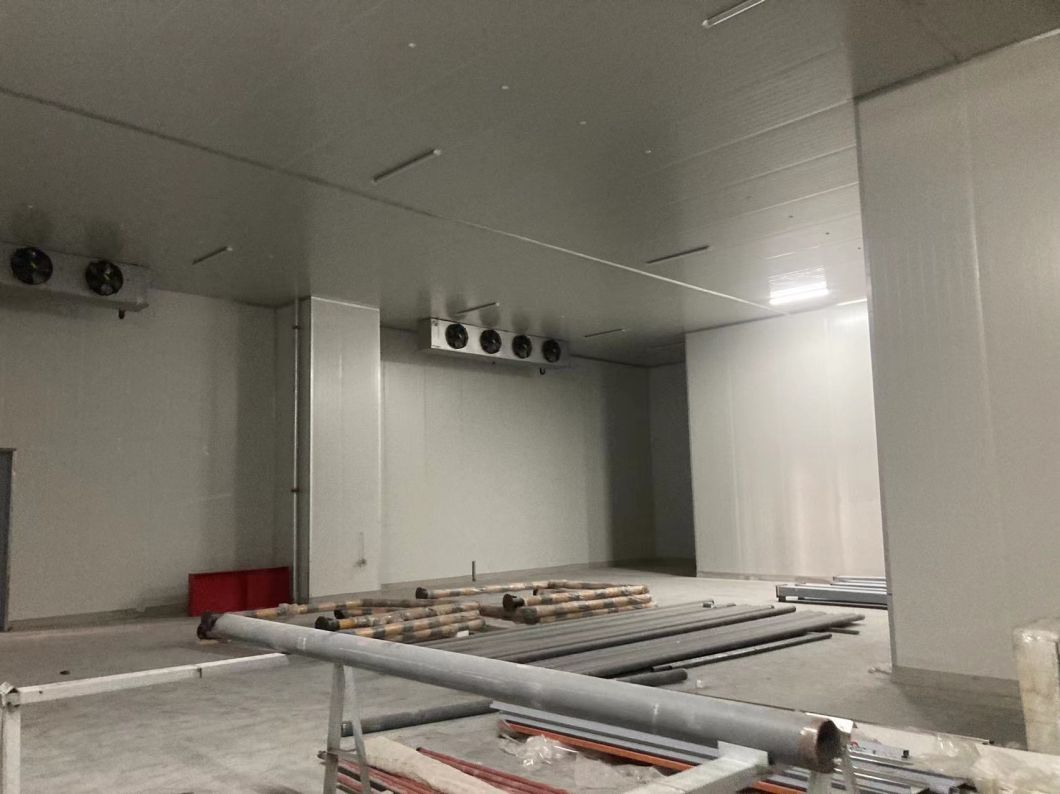 China Manufacturer Cold Storage Chiller/Cooler/Freezer Room with Condensing Unit Compressor