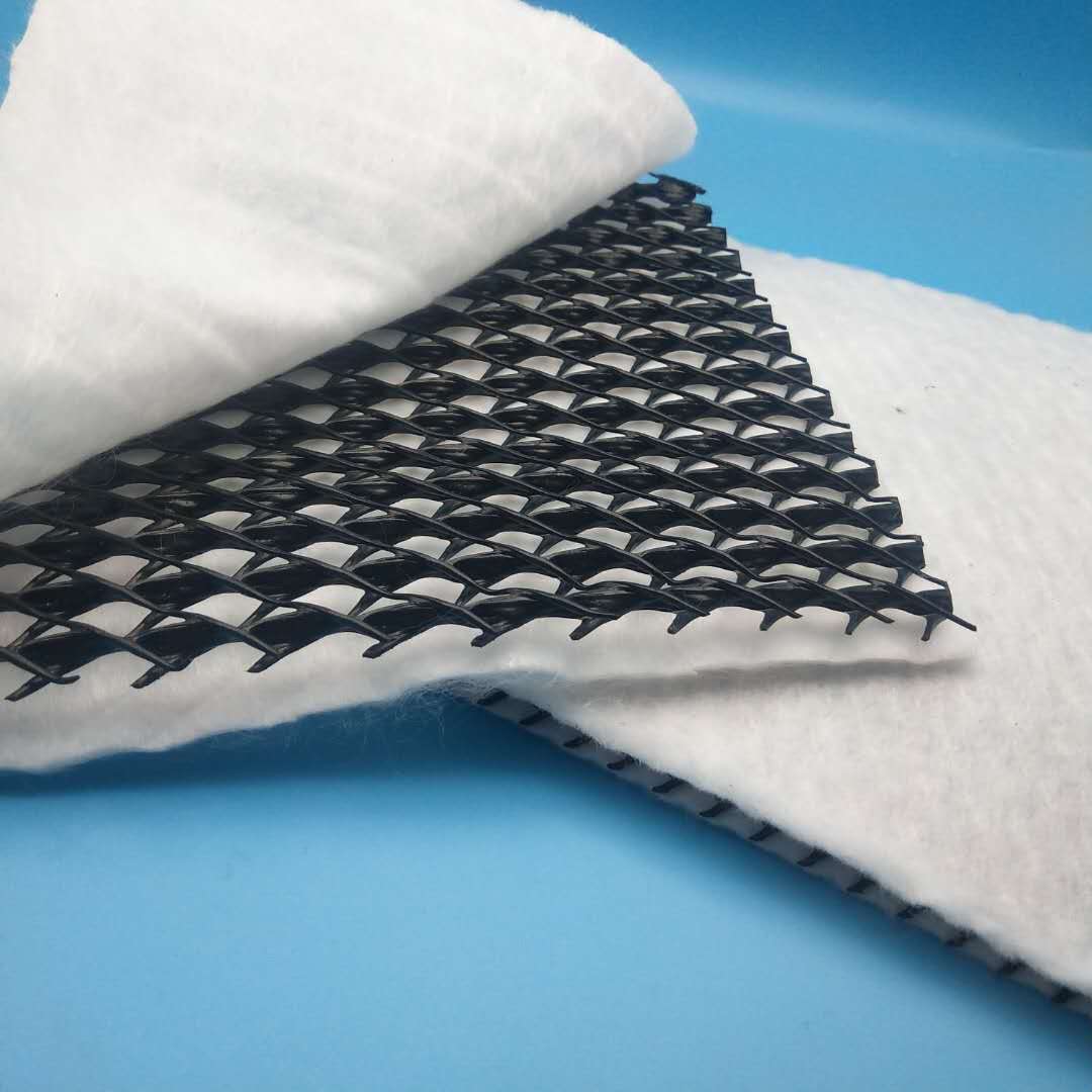 3D Composite Drainage Geonet The Ultimate Drainage Solution for Landfill Inner Walls