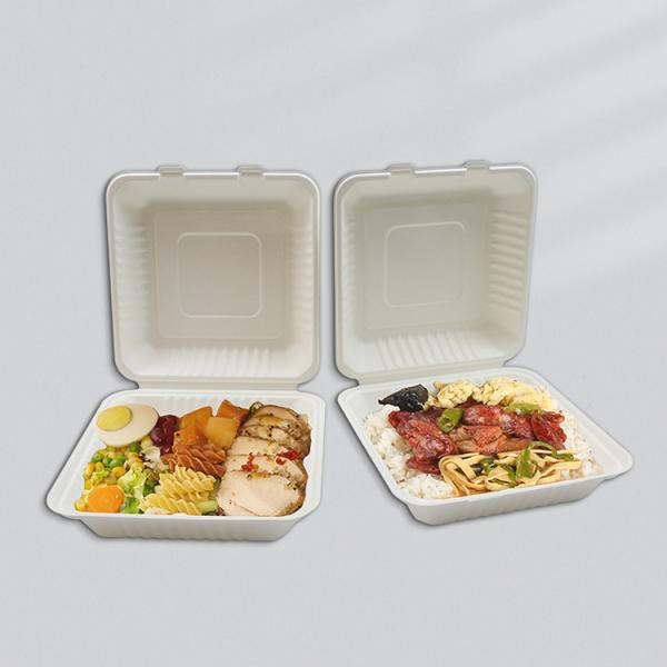 Quality Bagasse Clamshell Biodegradable To Go Box Compostable Lunch Box for sale