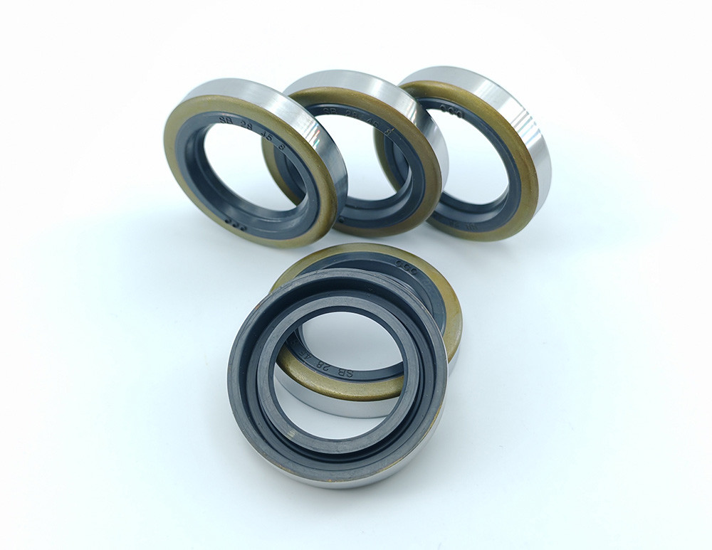 Low Friction Servo Motor Oil Seals Double Lip Oil Seal Black Rubber SB Type