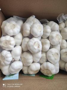 Natural China Fresh garlic  Pure White  normal white garlic
