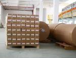 White Moisture Wicking Polyester Sublimation Printing Material Washable