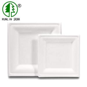 China 18g 20g Biodegradable Sugarcane Bagasse Plates Disposable Paper Tableware For Cake wholesale