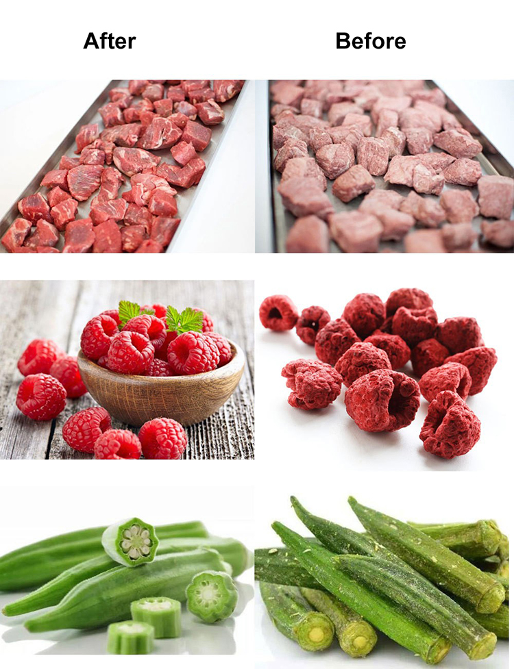 2022 new 100kg/200kg/300kg/400kg/500kg/1000kg per batch vacuum freeze dryer food freeze dryer