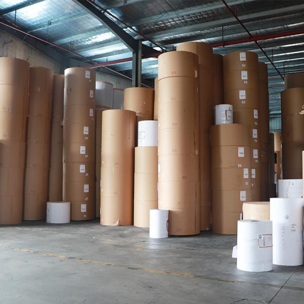 duplex board  with white back