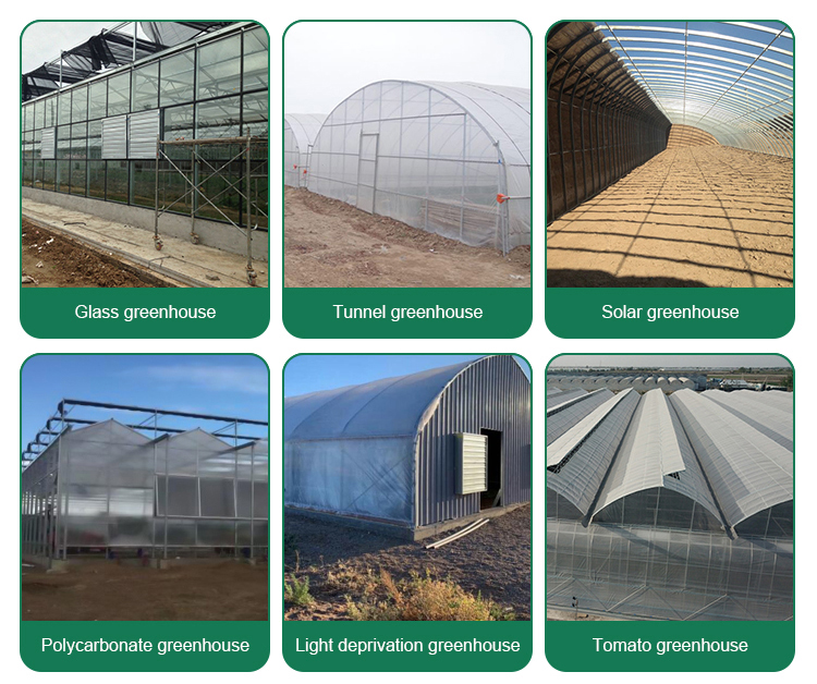 Length 30-100m Hoop House Light Deprivation Greenhouses for Mushroom Large