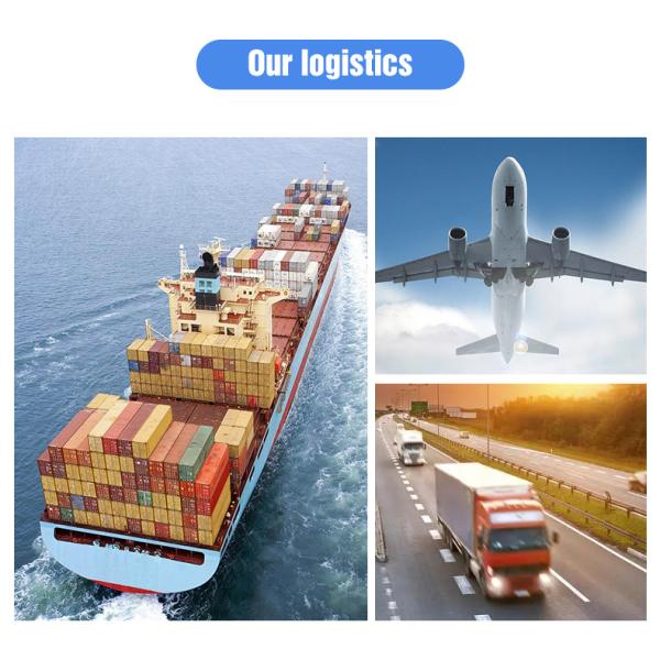 Dall Soybean Lentils Optical Rgb Camera Color Sorting Machine 5000kg/H Throughput