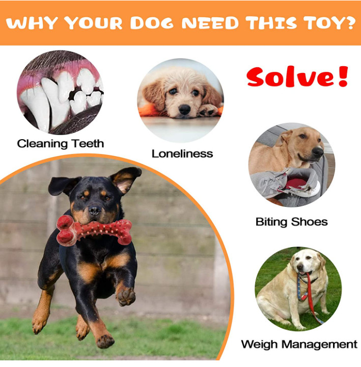 most durable chew toys for dogs