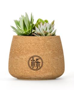 OEM FDA Reusable Cork Plant Pots Holder Flower Succulents Biodegradable