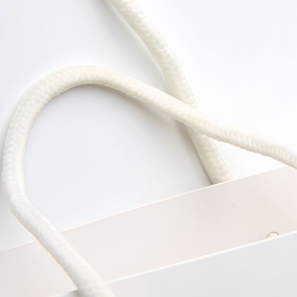 Customization High End Shopping Bags Environmental Protection Stylish Design