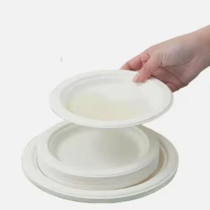 China Round 6 Inch Sugarcane Pulp Plates Sugarcane Compostable Plates Sustainable wholesale