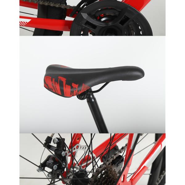 Customizable 27.5/29 Inch OEM Mountain Bike For Market Sale Cycle Bike