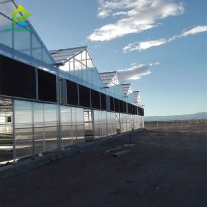 Buy cheap Light Dep Blackout PC Sheet Greenhouse Hemp Flowerhouse Farmhouse Greenhouse from wholesalers