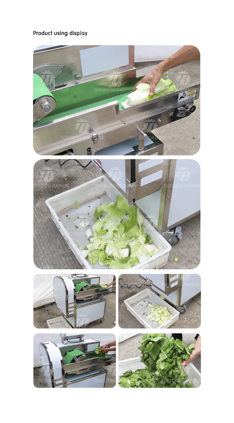180KG Vegetable and melon slicing and slicing machine One machine multi-purpose automatic chopping machine
