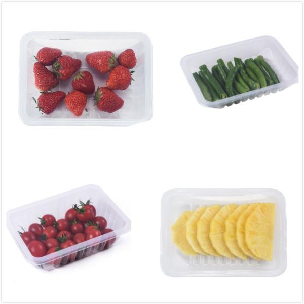Touch Screen Vacuum Tray Sealing Machine Japan Omron Electronic Control System