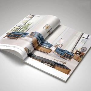 China CMYK Printing Multi Page Brochure wholesale