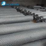 China supplier PVC/PE/plastic coated hexagonal wire mesh