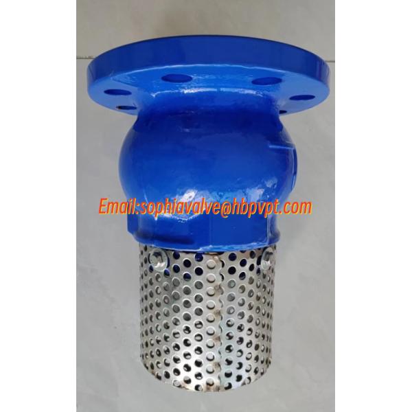 10 inch 10K ductile iron flanged foot valve