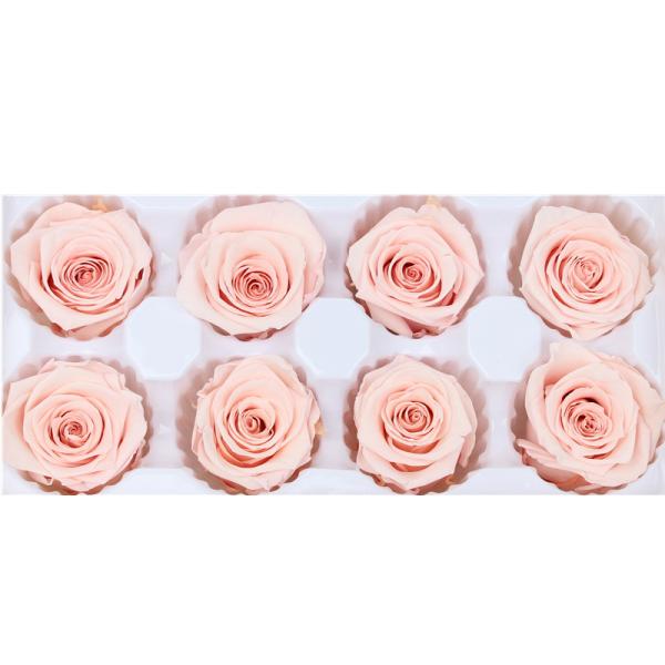 Pliability Maintaining Preserved Rose Heads Excellent Flowers Eternity