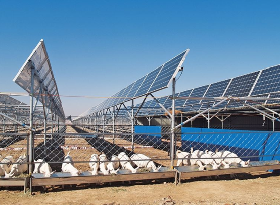 1000V One Axis Solar PV Tracker Flat Single Axis Solar Tracker