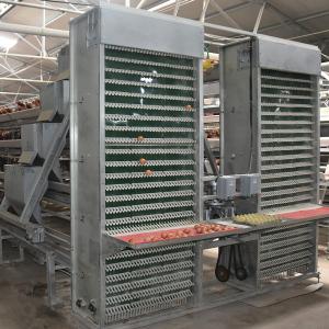 China 4m/Min Poultry Egg Collection System wholesale