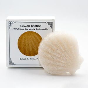 Gentle Exfoliation Shell Shape Facial Konjac Sponge Natural