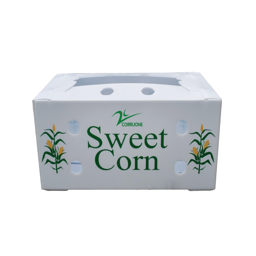 Asparagus Corrugated Plastic Produce Boxes Food Grade Black White
