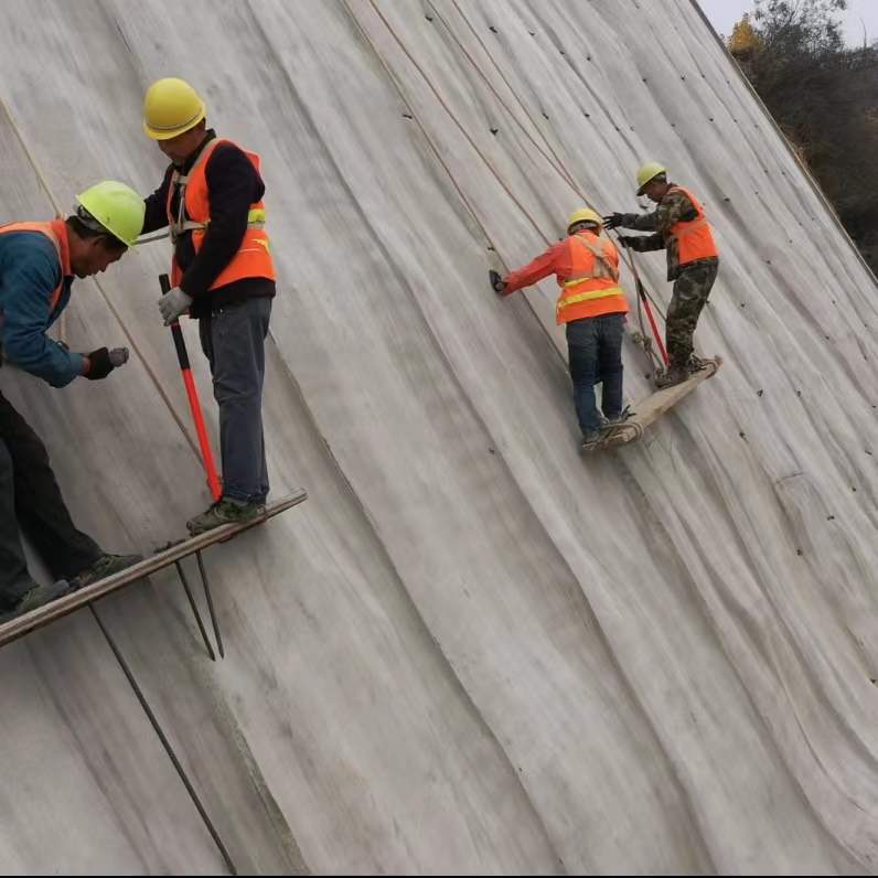Hdpe Geomembrane Liner for Environmental Projects and After-sale Service Guaranteed