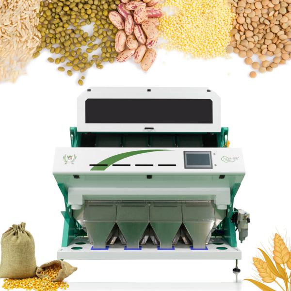 4 Chutes High Capacity Automatic Yellow Bean Green Bean Color Sorter Popular in the USA