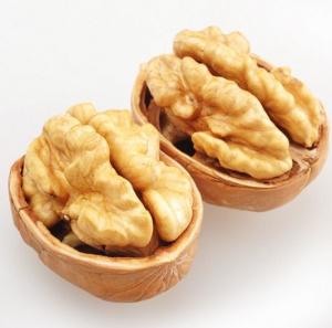China Snack on These Walnut Snacks with 5% Max Broken Kernel from Packaging Workshops wholesale