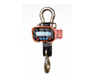China OCS-A 1t to 20t general type crane scale on sale