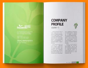 China CMYK Pantone Officeworks Booklet Printing A4 Landscape Booklet Printing on sale