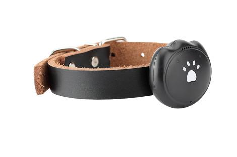 Quality 2G SIM Waterproof GPS Tracking Collar Android IOS Compatible For Pet Dog / Cat for sale