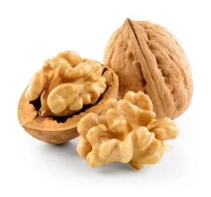 China Top quality Thin-skin paper shell Walnut 185 with shell in bulk wholesale from China wholesale